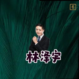 林泽宇